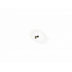 Haut parleur sonnerie notification pour Samsung Galaxy Core Plus G3500 G350F