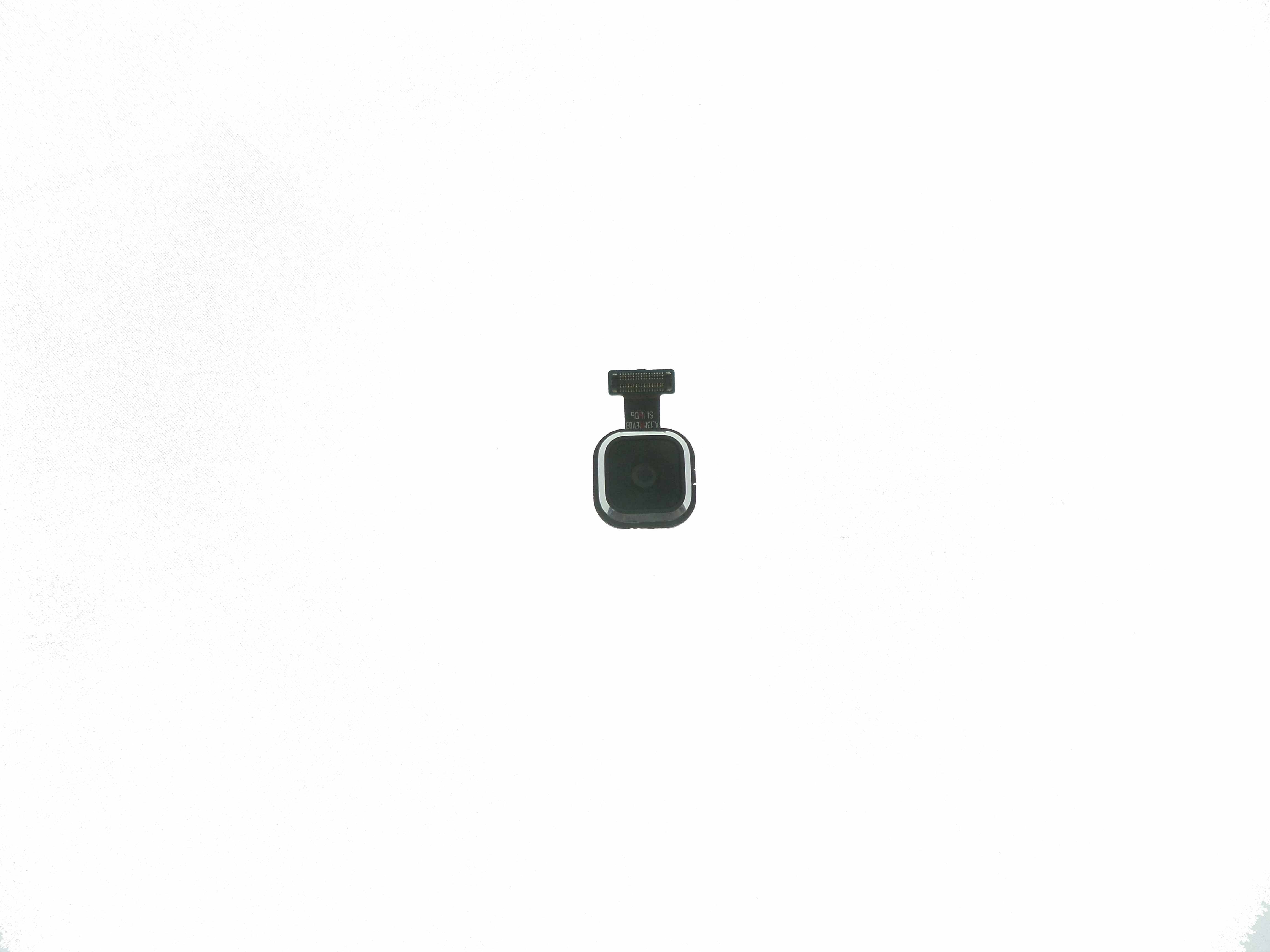 Cam&eacute;ra arri&egrave;re principale pour Samsung Galaxy A5 A500FU