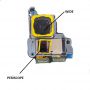Caméras pour Samsung Galaxy Note20 Ultra 5G N986B