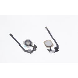 Bouton home avec flexible or gold compatible Apple Iphone 5S