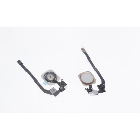 Bouton home avec flexible or gold compatible Apple Iphone 5S