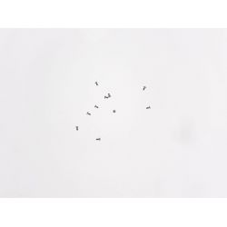 Conjunto de tornillos Wiko Iggy