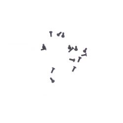 Set of screws for Wiko Wax