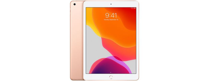 Apple iPad 10.2 2019 A2197 (wifi) A2200 et A2198 (4G)