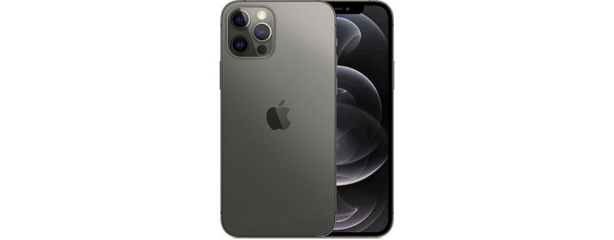 Apple iPhone 12 Pro A2407